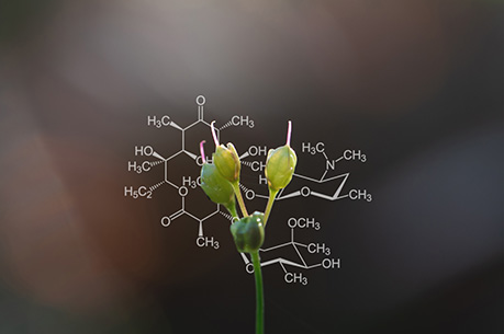 Biochemistry