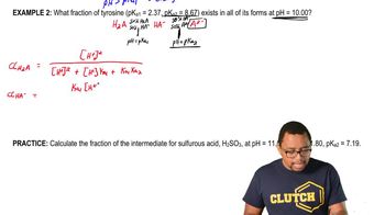 Fractional Composition Calculations 1