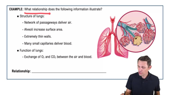 What is Anatomy & Physiology? Example 3