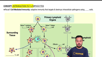 Cell-Mediated Immunity