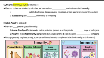 Introduction to Immunity