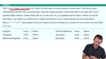 Introduction to the Digestive System Example 2