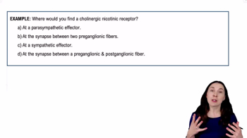 Neurotransmitters of the ANS Example 2