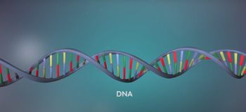 DNA replication