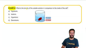 Osmosis Example 1