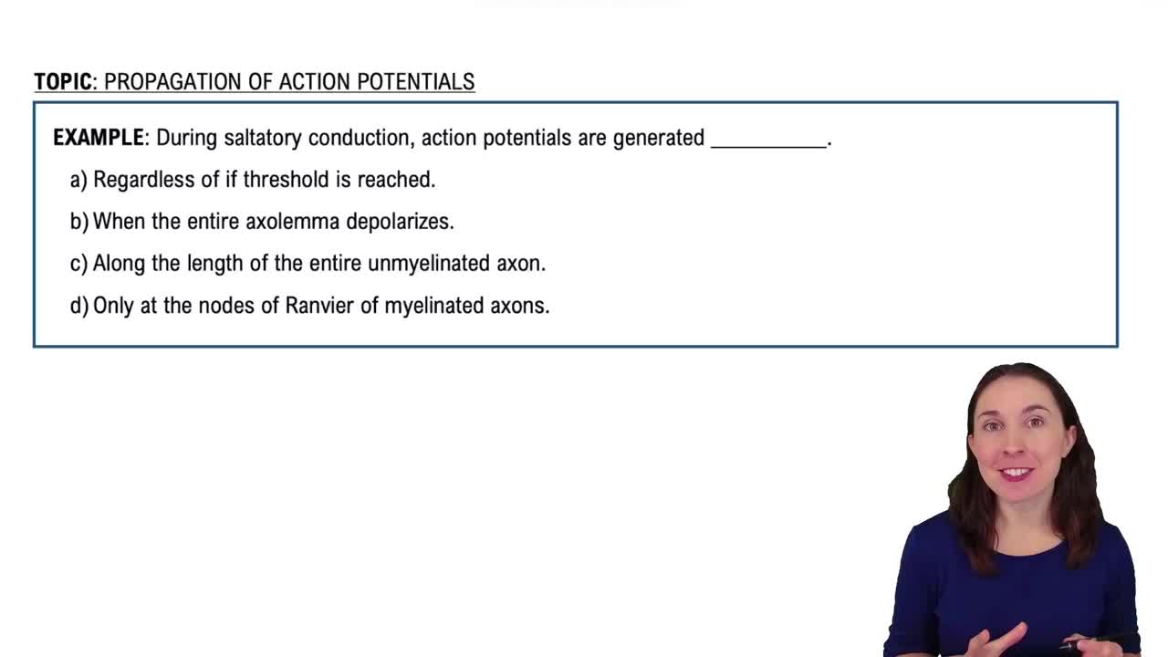 Propagation of Action Potentials Example 1