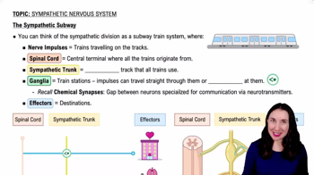 The Sympathetic Subway