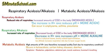 Respiratory Acidosis, Respiratory Alkalosis, Metabolic Acidosis, Metabolic Alkalosis