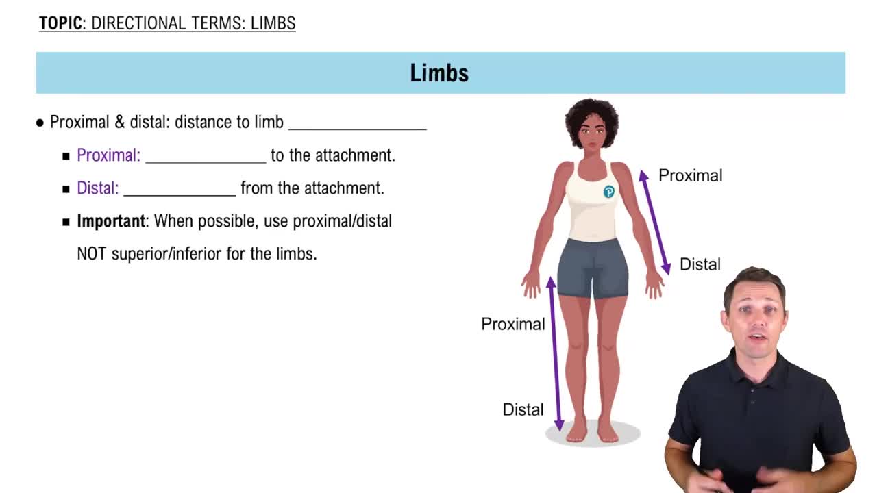 Proximal and Distal