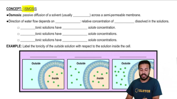 Osmosis