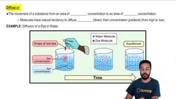 Diffusion