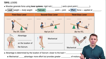 Lever Systems