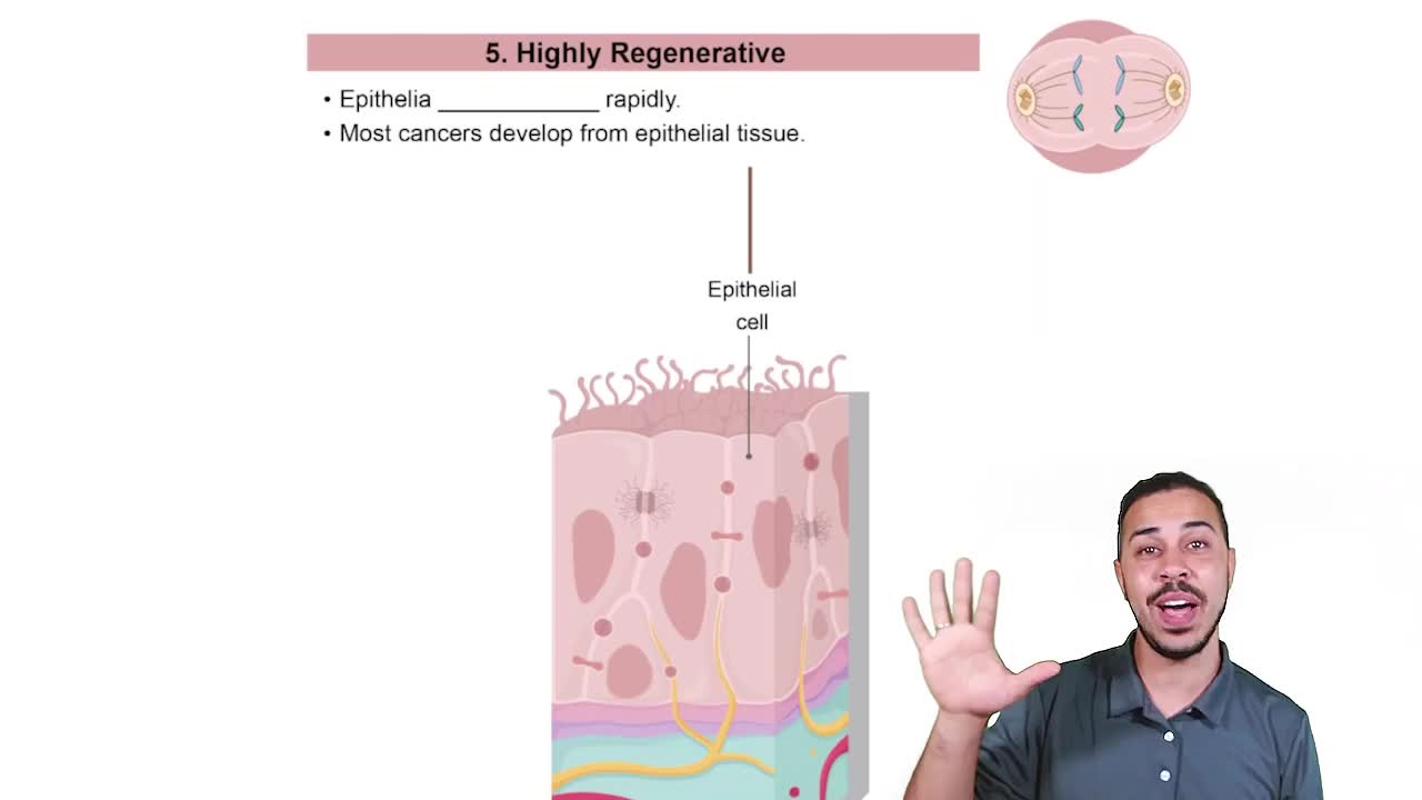 Characteristic 5: Highly Regenerative