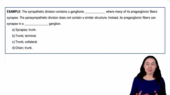 Review of the Sympathetic and Parasympathetic Divisions Example 1