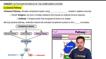 Classical Pathway