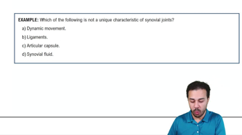 Structural Class: Synovial Joints Example 1