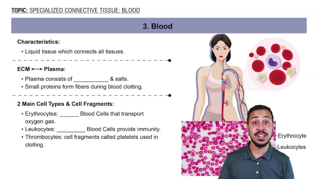 Intro to Blood