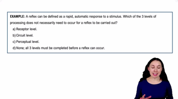 Organization of Sensory Pathways Example 2