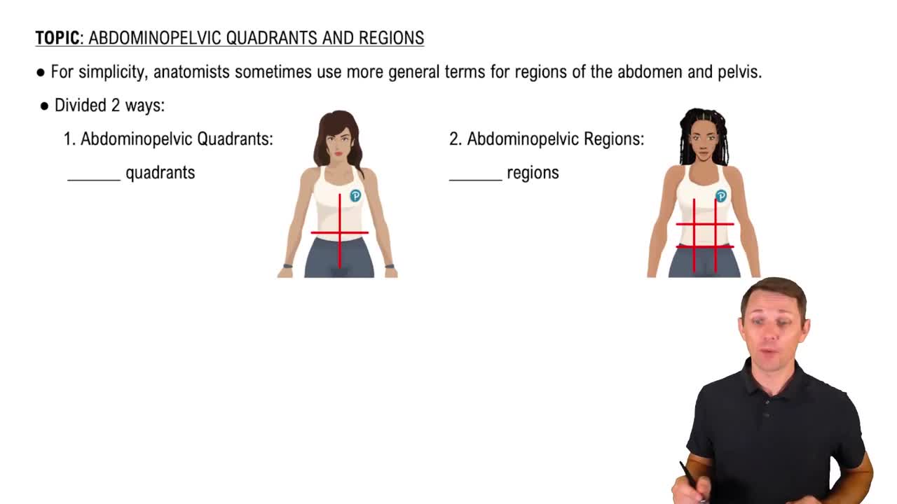 your-lab-instructor-tells-you-to-make-an-incision-in-the-hypogast