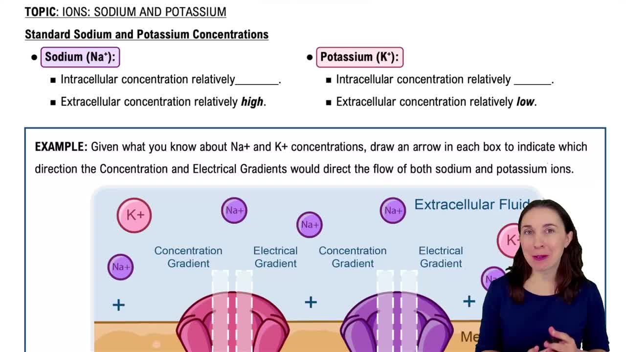 Molarity \u0026 Concentration Units: Chemistry Lecture Notes, image size:1280x720