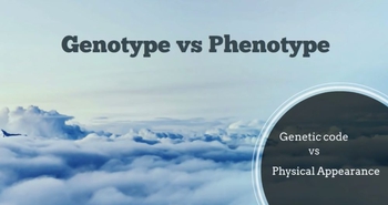 Genotype versus Phenotype