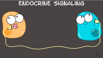 Intro to Cell Signaling