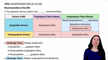 Neurotransmitters of the ANS