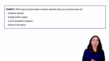 Proprioceptors Example 1