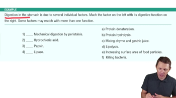 The Stomach Example 4