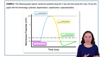 Change in Membrane Potential Example 1