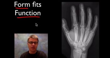 Anatomy and Physiology