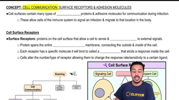 Cell Surface Receptors