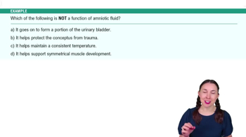 Extraembryonic Membrane Development Example 1