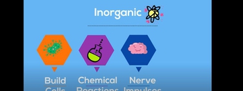 Important minerals you need and the foods that contain them