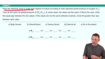 Respiration Example 1