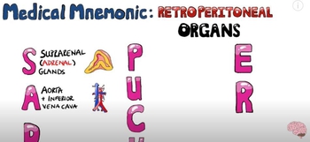 SAD PUCKER Retroperitoneal Organs Mnemonic | Channels for Pearson+