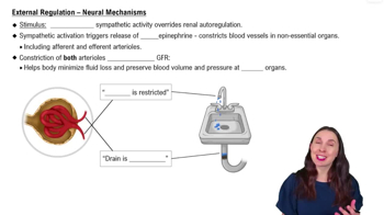 External Regulation – Neural Mechanisms