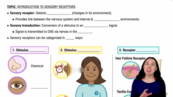 Sensory Receptors