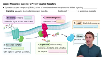 G Protein-Coupled Receptors