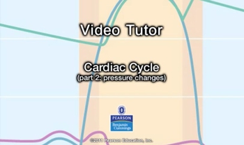 Cardiac Cycle - pressure changes