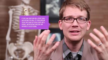 Types of Connective Tissues