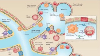 Barrier Surfaces of the Innate Immune System