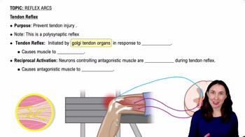 Tendon Reflex