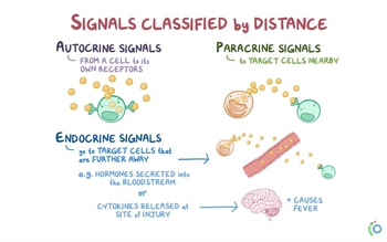 Common cell signaling pathway