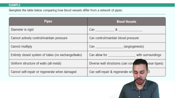 Introduction to Blood Vessels Example 1