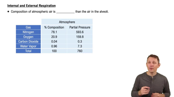 Internal and External Respiration