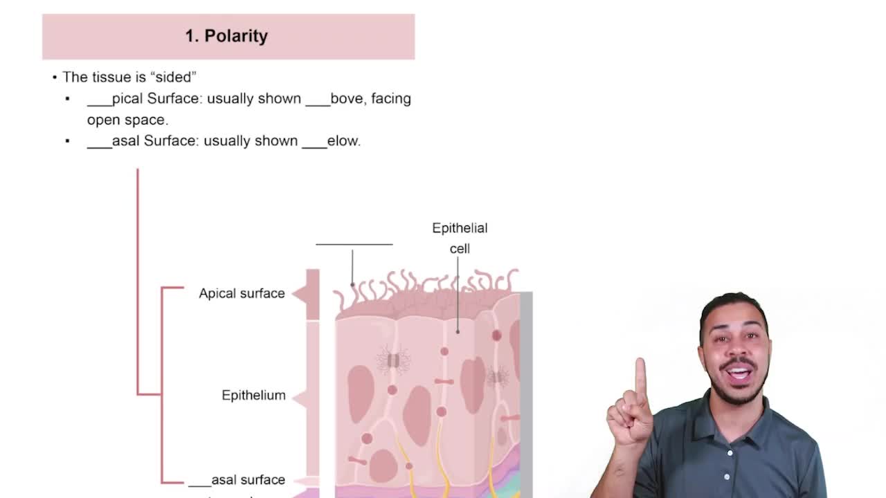 Characteristic 1: Polarity