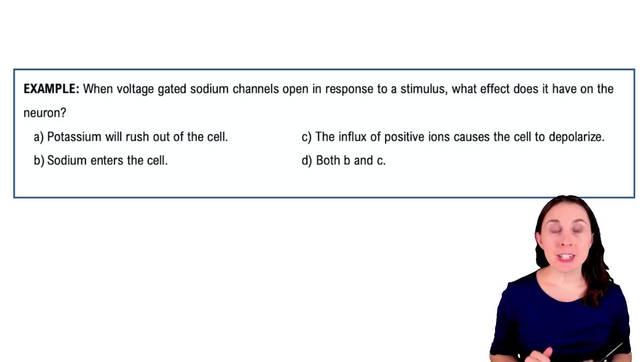 Graded Potentials Example 1