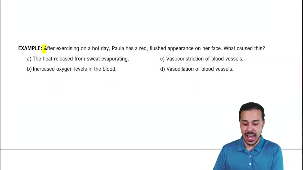 Functional role of peripheral vasoconstriction: not only thermoregulation  but much more