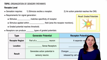 Receptor Level